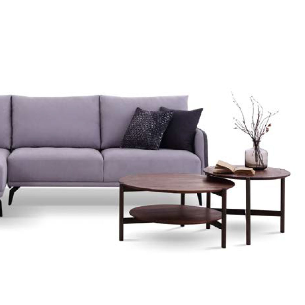 DA-E1855-1(R2+LG)-SIZE-261X147CM-2