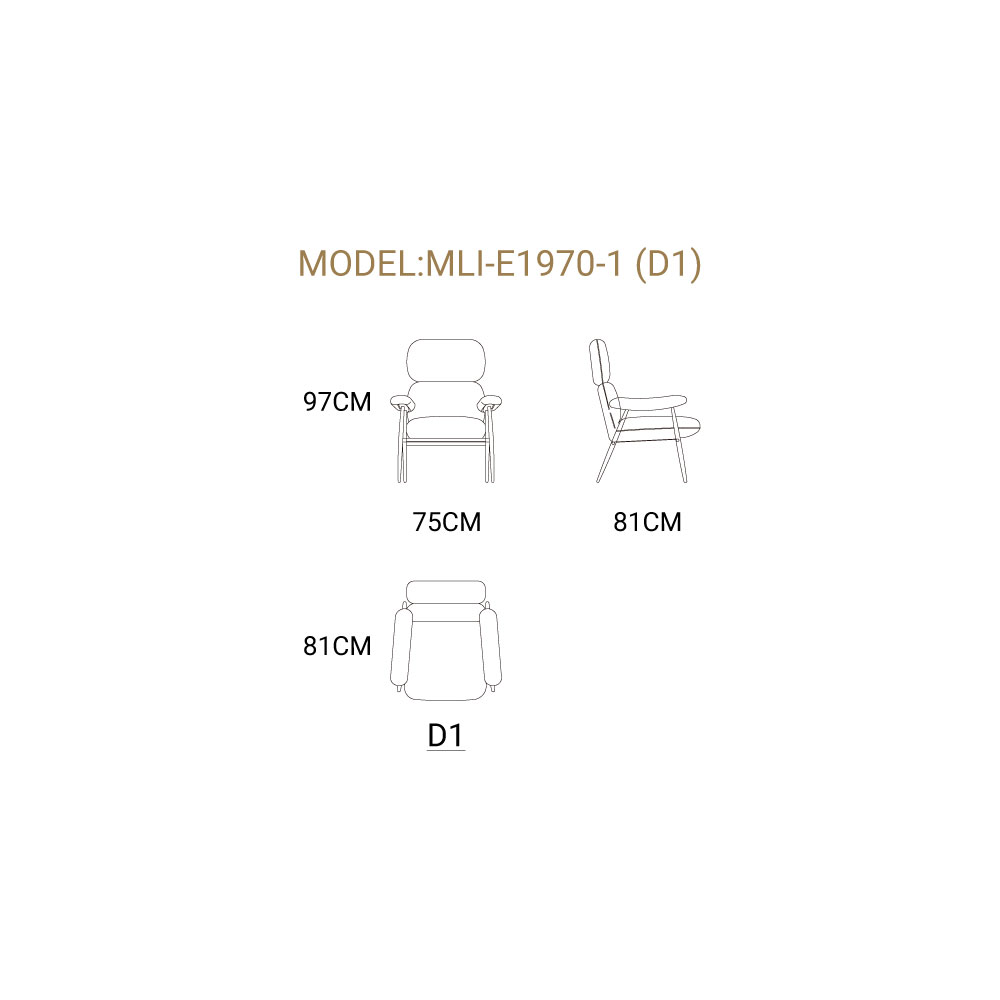 MLI-E1970-1(D1)-1