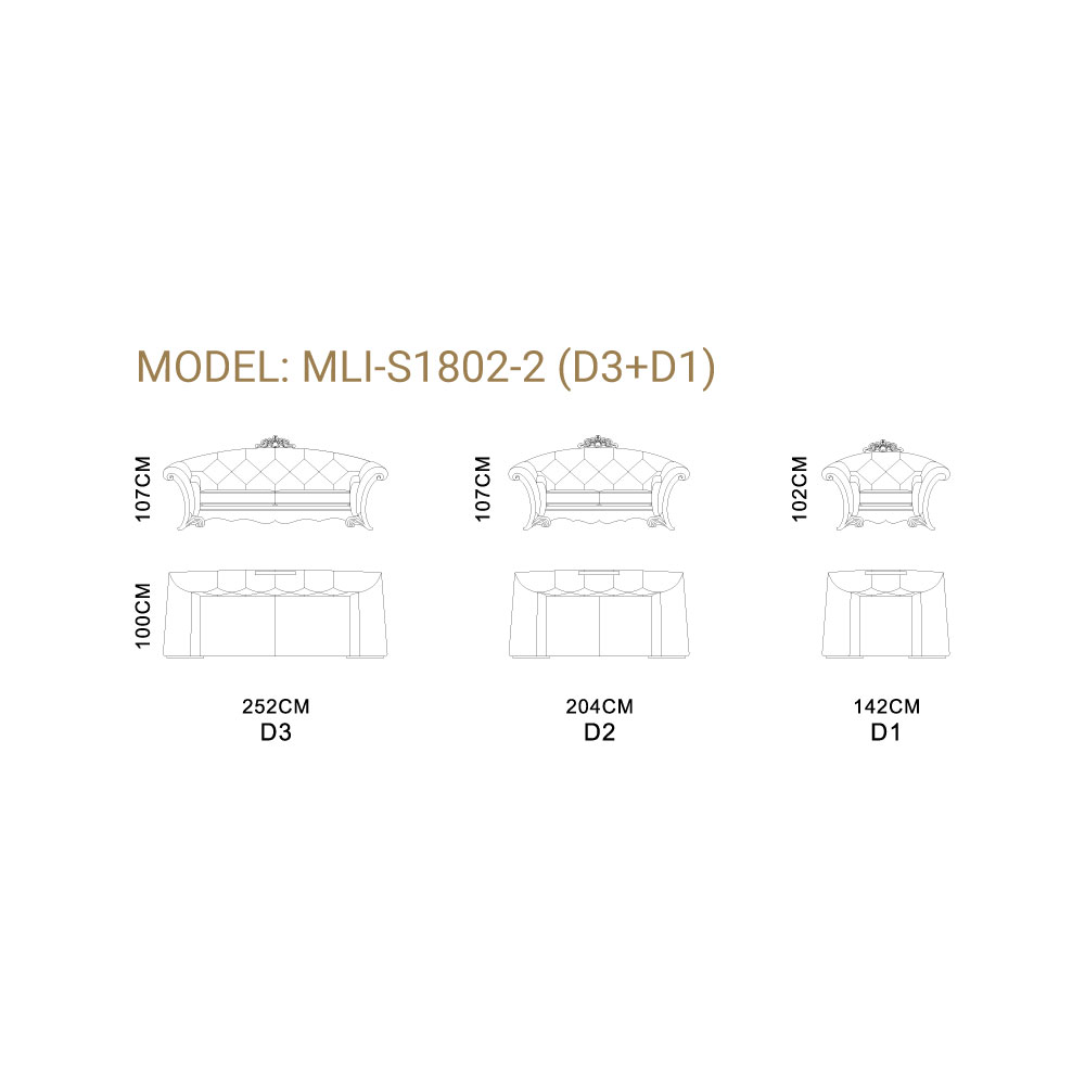 MLI-S1802-2-(D3+D1)-2