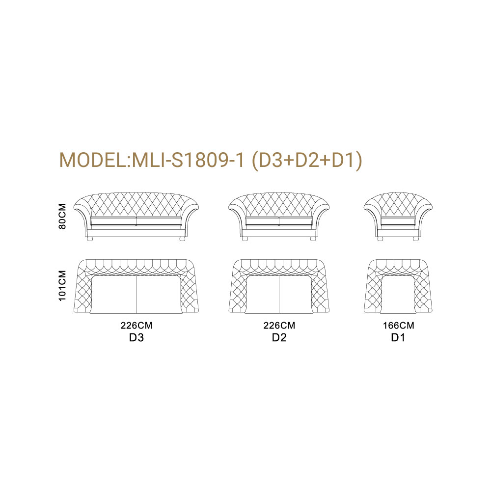 MLI-S1809-1(D3+D2+D1)-3